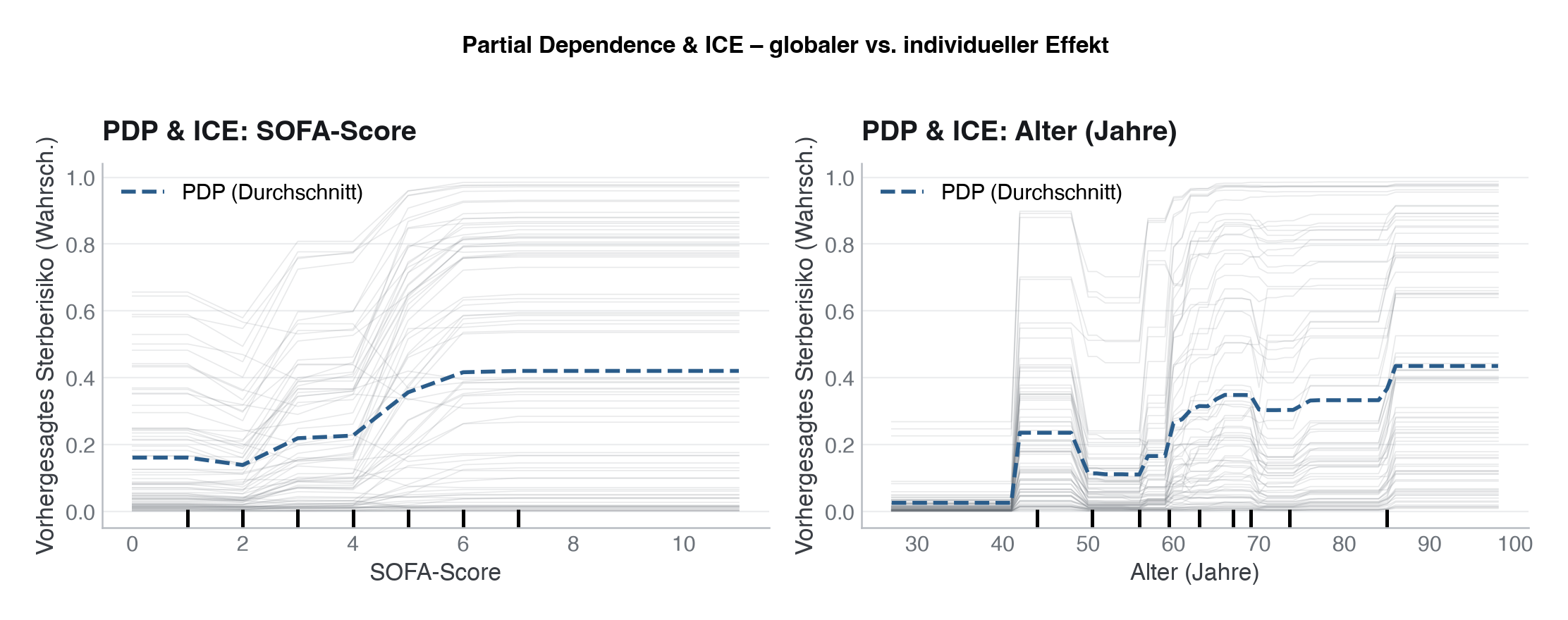 Partial Dependence und ICE für sofa_score (links) und Alter (rechts). Die fette Linie zeigt den PDP (Durchschnitt), dünne Linien einzelne Patient:innen. Kreuzende ICE-Linien weisen auf Interaktionen hin.